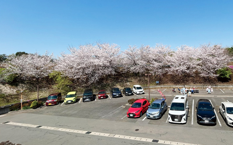 千葉市　特養　幕張