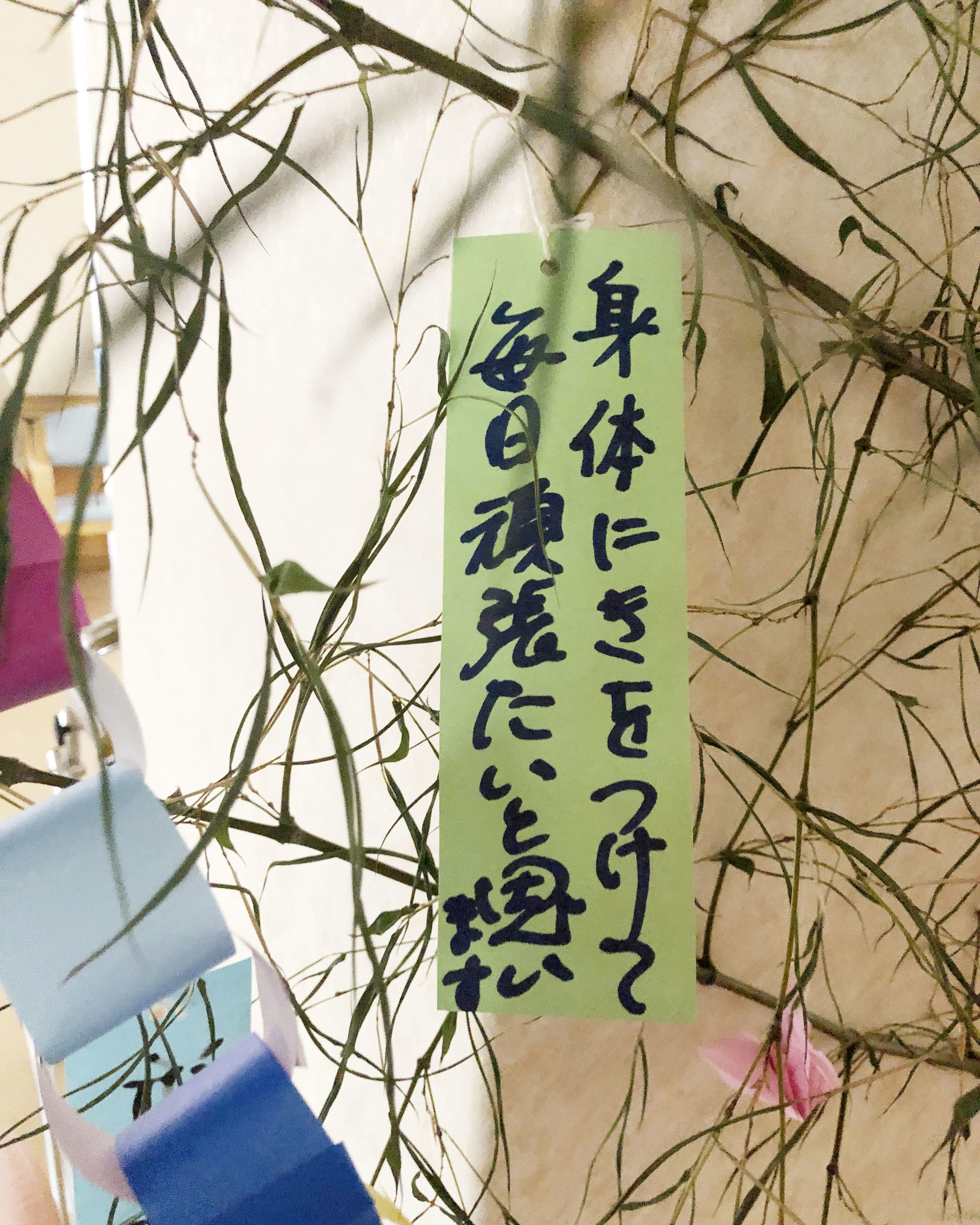 特別養護老人ホーム桐花園