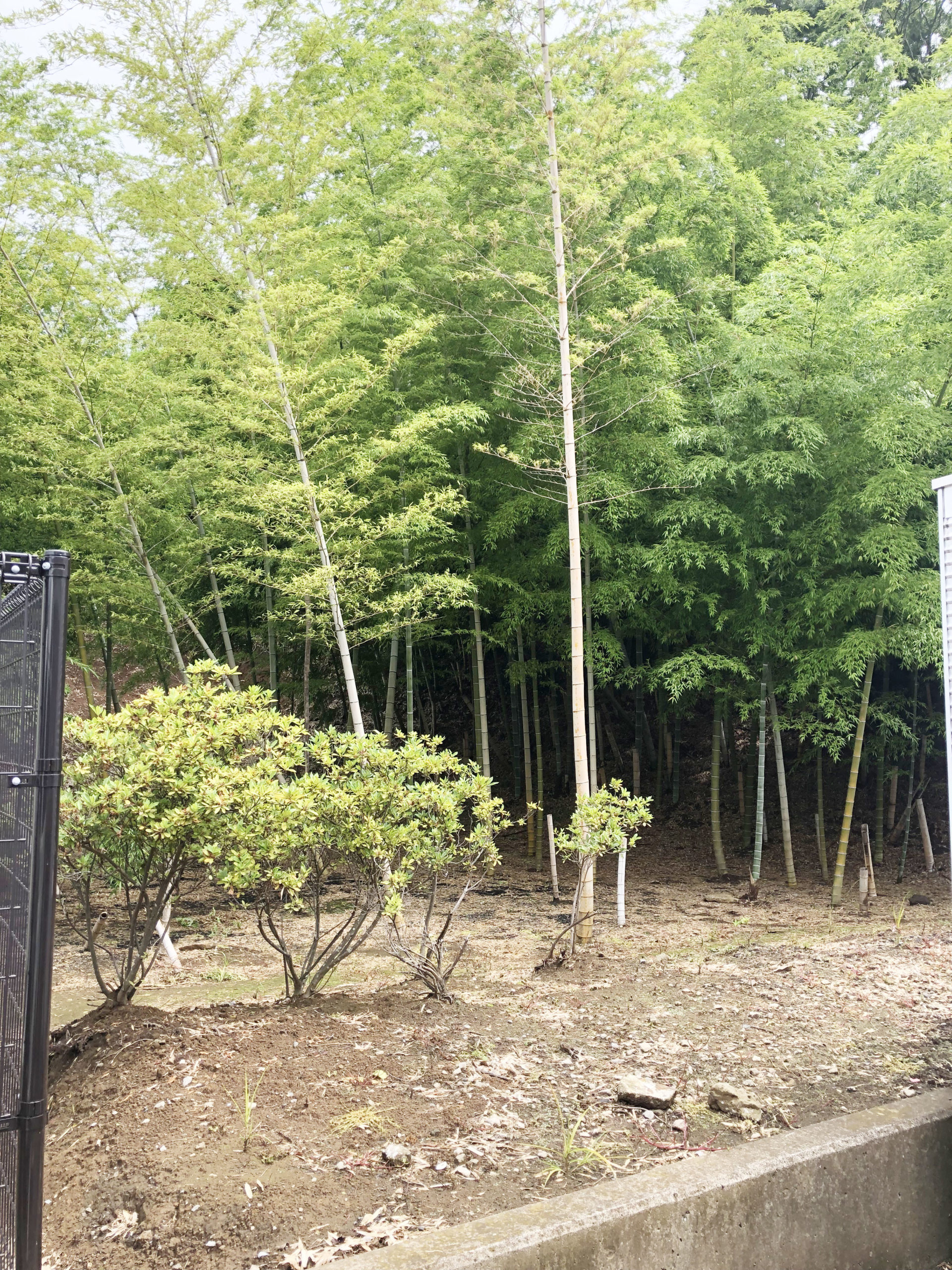 特別養護老人ホーム桐花園