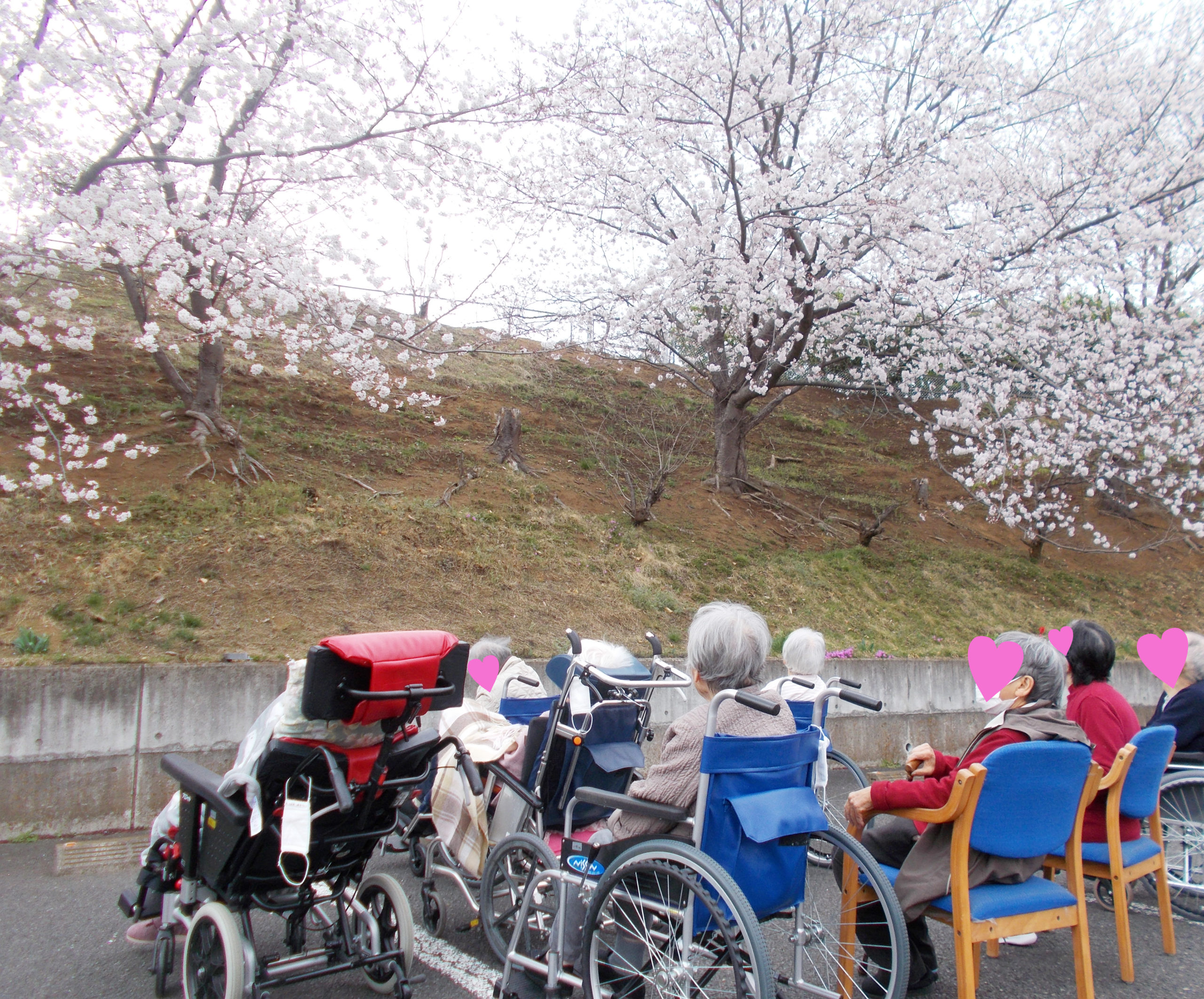 特別養護老人ホーム桐花園