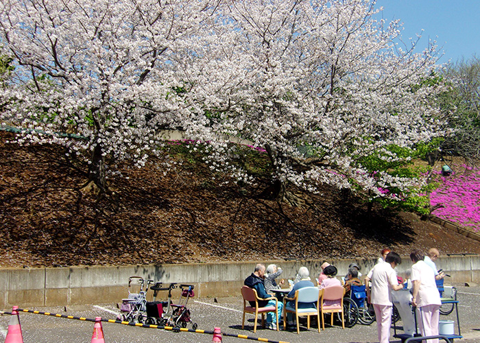デイサービスお花見 
